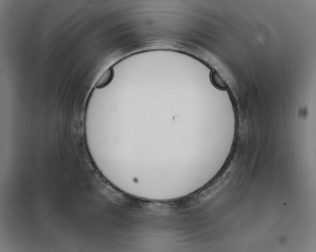 X0000101671097200808071039
