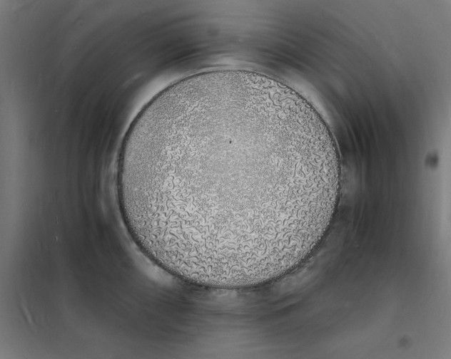 X0000101671098200808071039