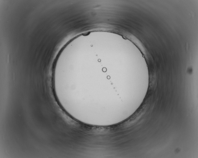 X0000101671099200808071039