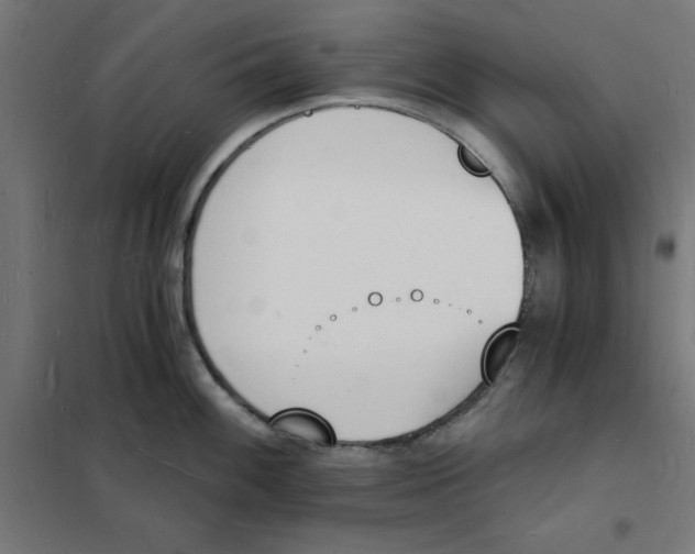 X0000101671100200808071039