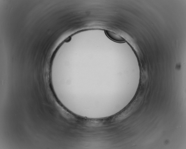 X0000101671101200808071039