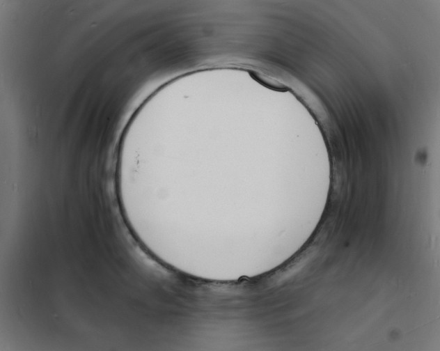 X0000101671102200808071039
