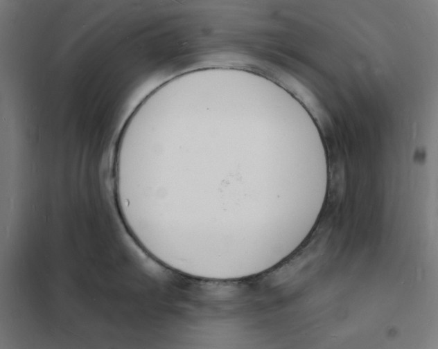 X0000101671103200808071039