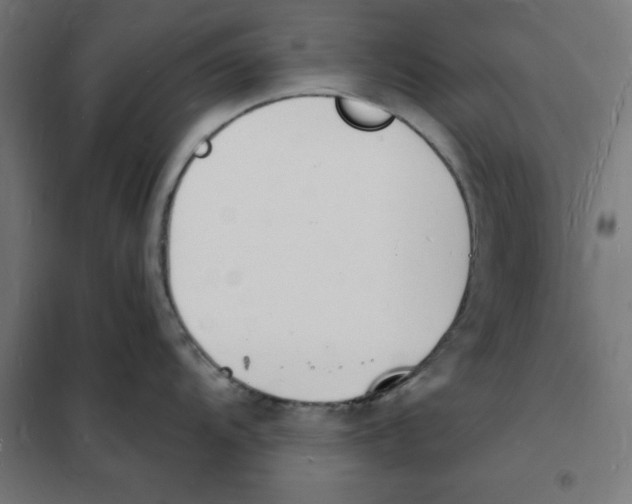 X0000101671104200808071039