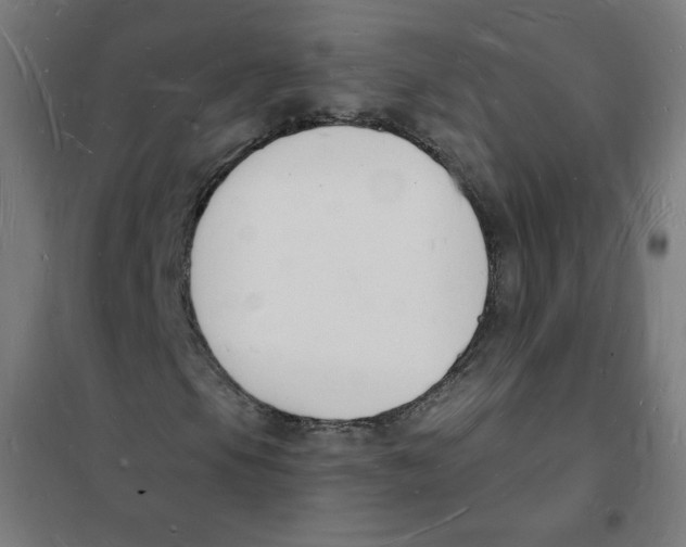 X0000101671105200808071038