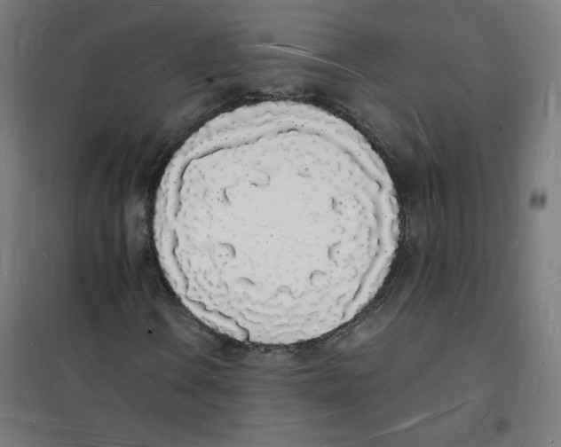X0000101671106200808071038