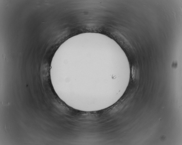 X0000101671107200808071038