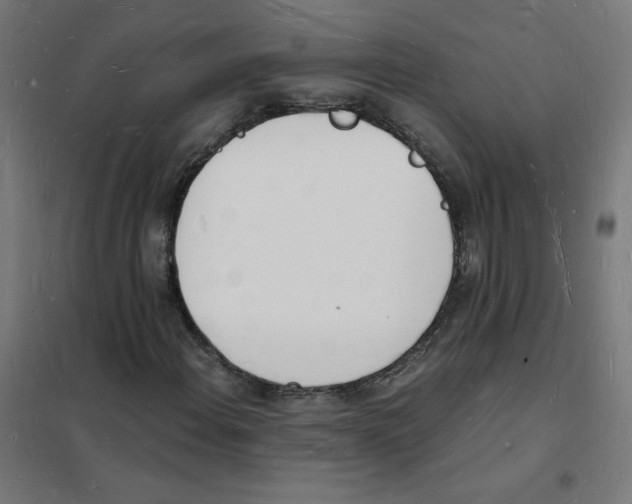X0000101671108200808071038