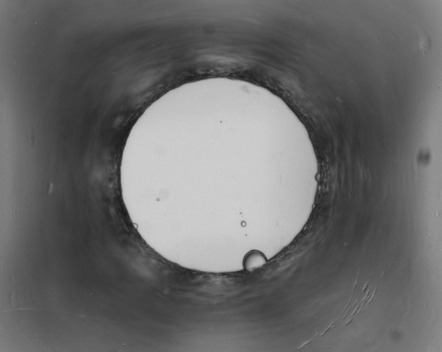 X0000101671109200808071038