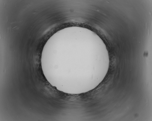 X0000101671110200808071038