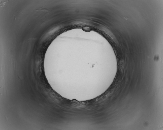 X0000101671111200808071038