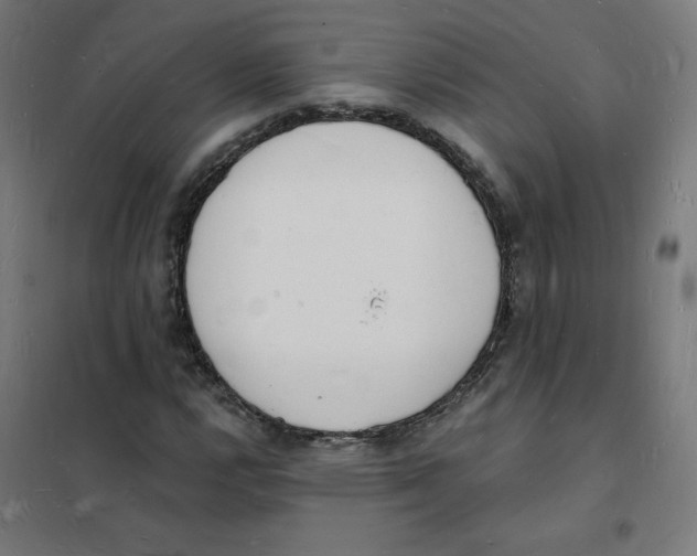 X0000101671112200808071038