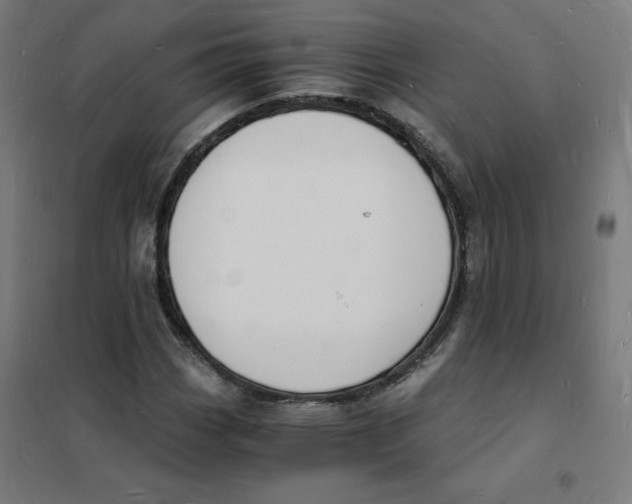 X0000101671113200808071038