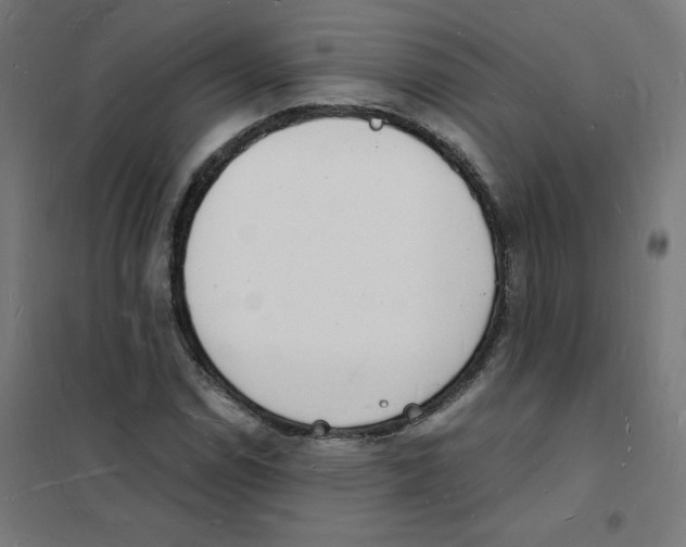 X0000101671114200808071038