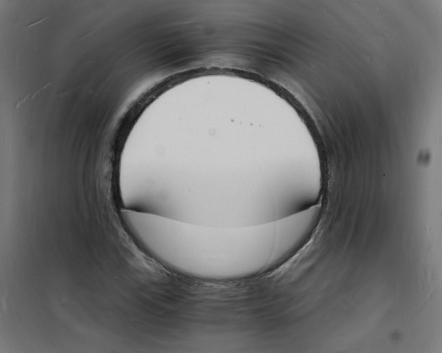 X0000101671115200808071038