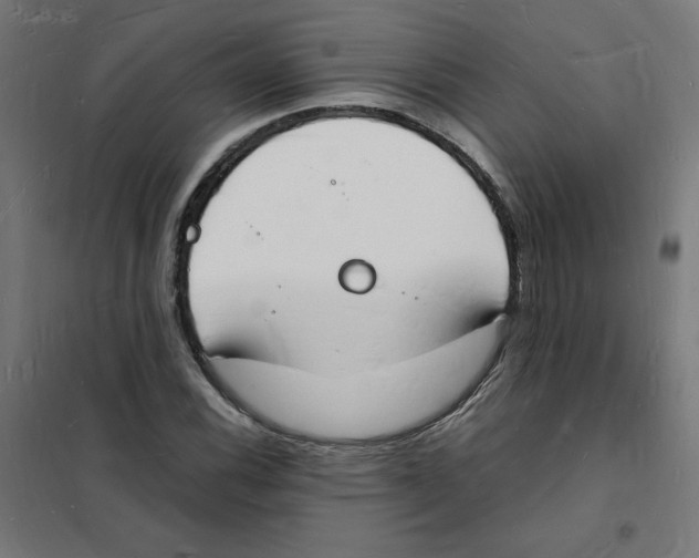 X0000101671116200808071038