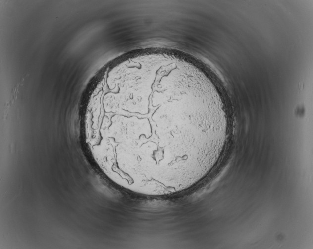 X0000101671117200808071038