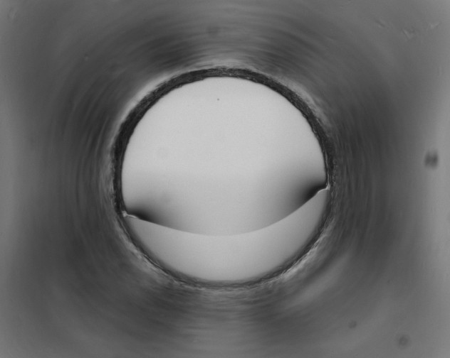 X0000101671118200808071038