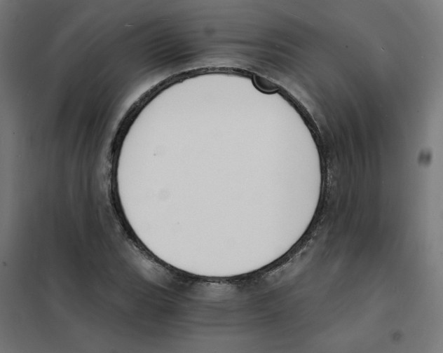 X0000101671119200808071038