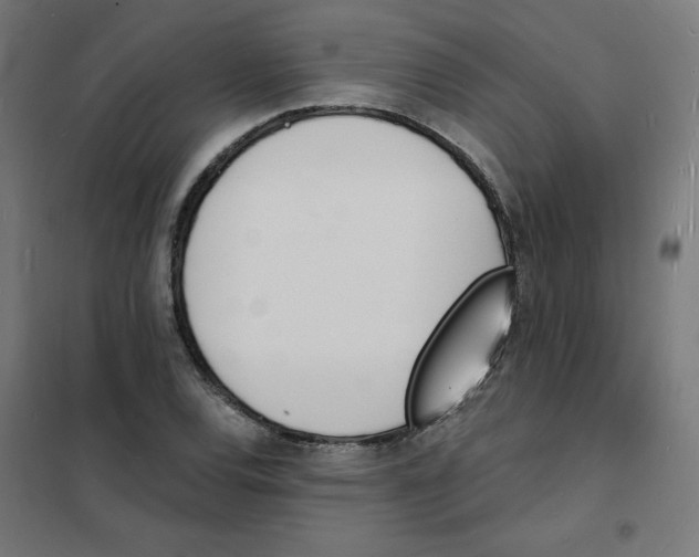 X0000101671120200808071038