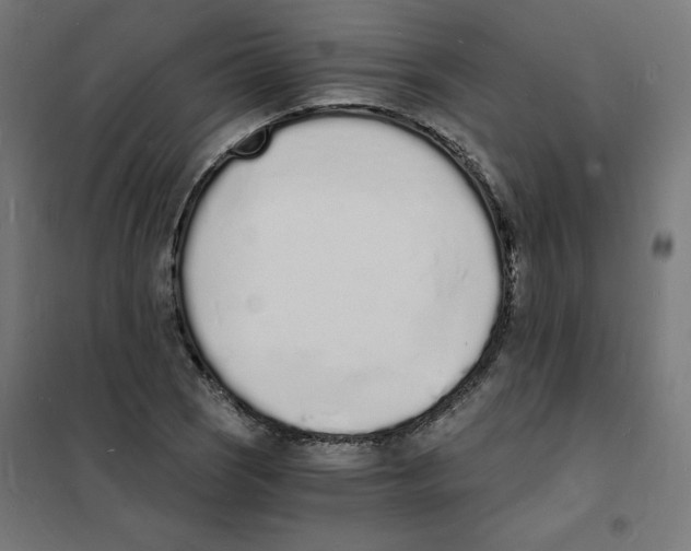 X0000101671121200808071038