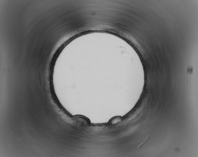 X0000101671122200808071038