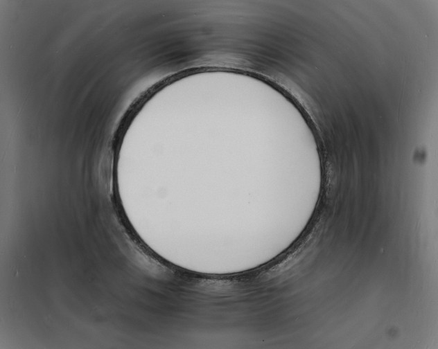 X0000101671123200808071038