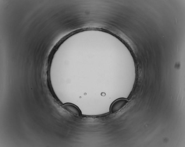 X0000101671124200808071038