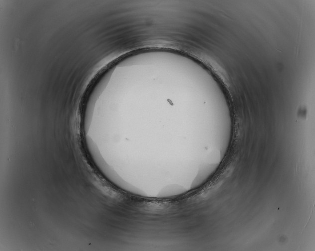 X0000101671125200808071038