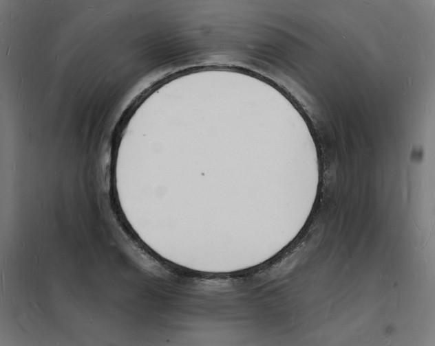 X0000101671126200808071038