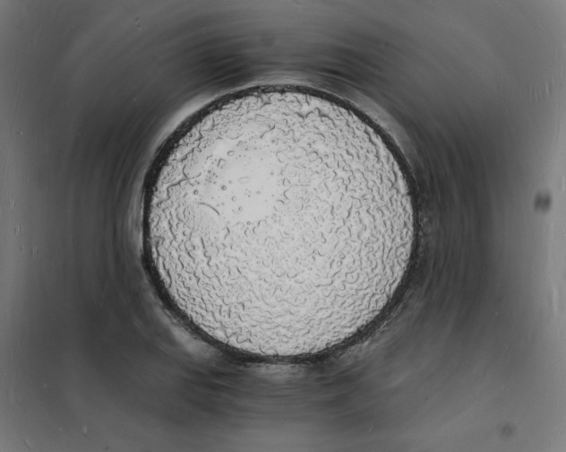 X0000101671127200808071038