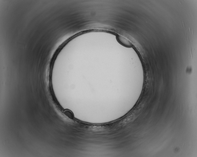 X0000101671128200808071038