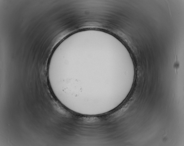 X0000101671129200808071038