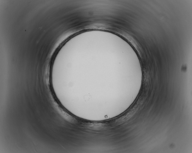 X0000101671131200808071038
