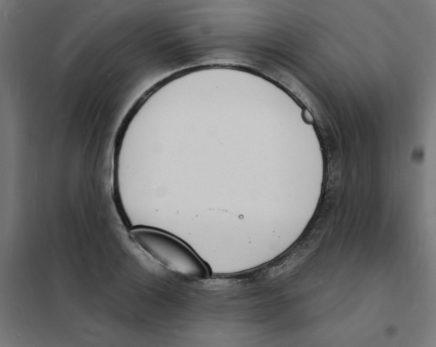 X0000101671132200808071038