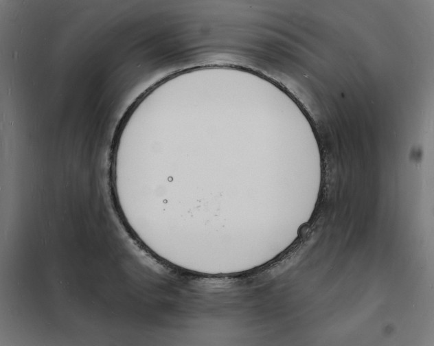 X0000101671134200808071038