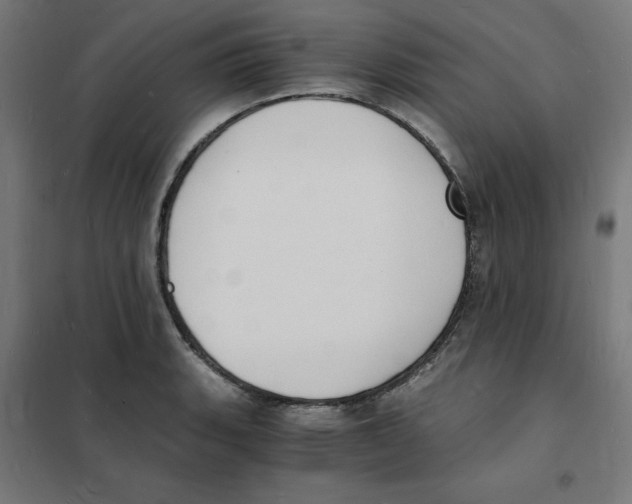 X0000101671135200808071038