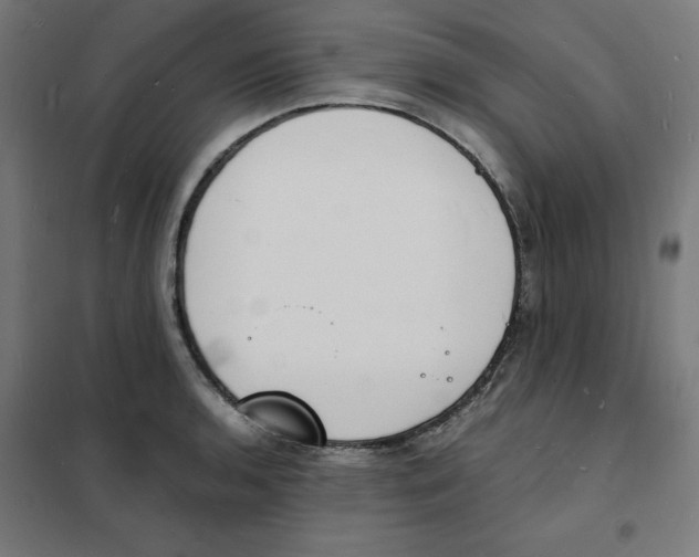 X0000101671136200808071038