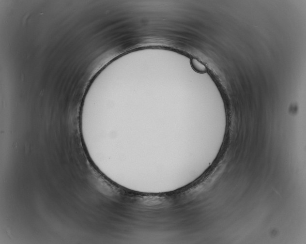 X0000101671137200808071038