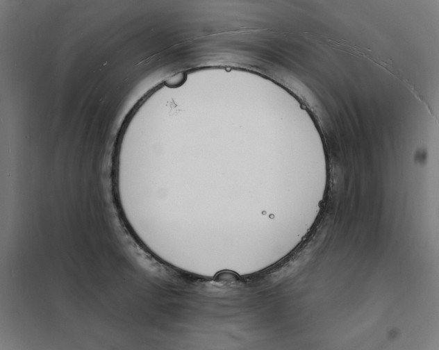X0000101671138200808071038