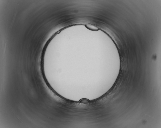 X0000101671139200808071038