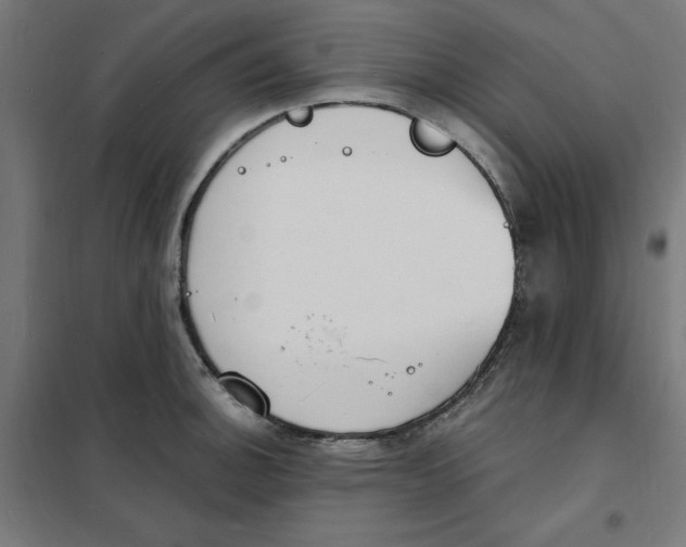 X0000101671140200808071038