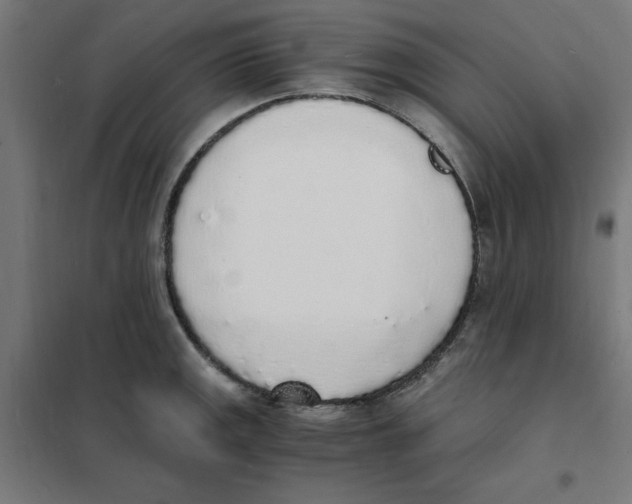 X0000101671141200808071038