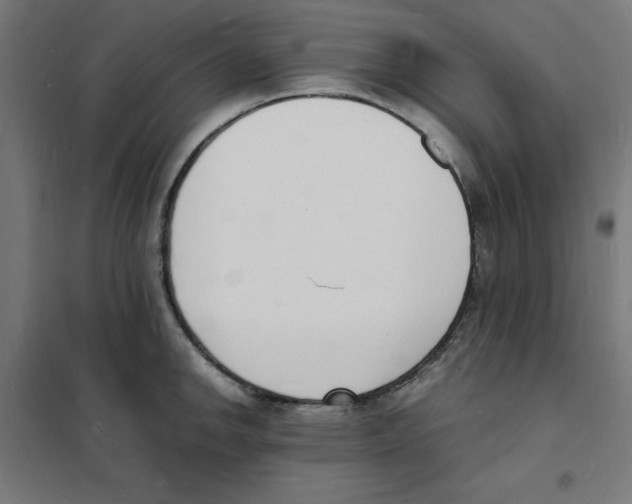 X0000101671142200808071038