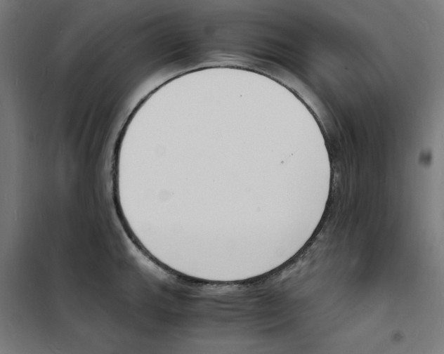X0000101671143200808071038
