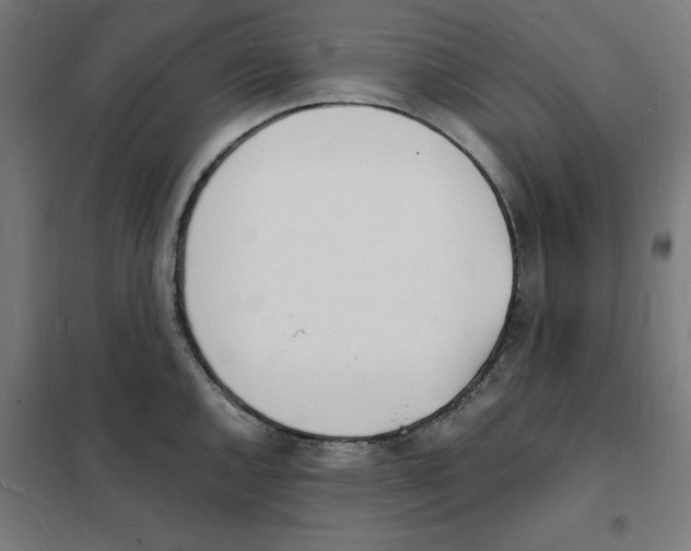 X0000101671144200808071038