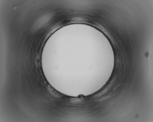 X0000101671145200808071038