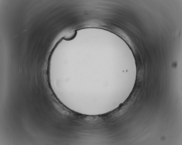 X0000101671146200808071038