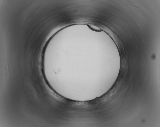 X0000101671147200808071038