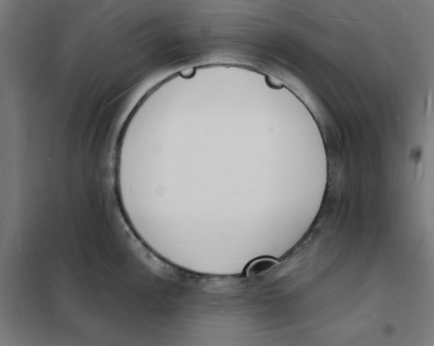 X0000101671148200808071038